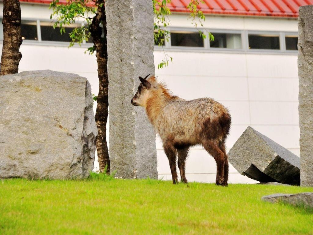 Tateyama Kokusai Hotel Toyama Bagian luar foto